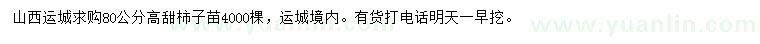 求購(gòu)高80公分甜柿子苗