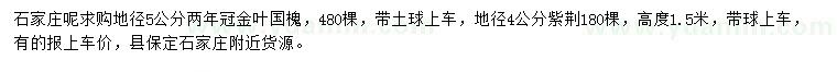 求購地徑5公分金葉國槐、4公分紫荊