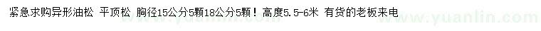求購胸徑15公分油松