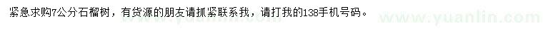 求購(gòu)7公分石榴樹
