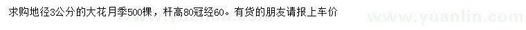 求購地徑3公分大花月季