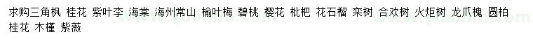 求購(gòu)三角楓、桂花、紫葉李等