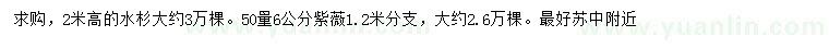 求購高2米水杉