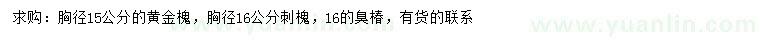 求購黃金槐、刺槐、臭椿