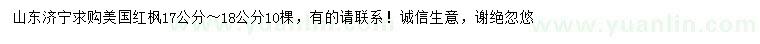 求購17-18公分美國紅楓