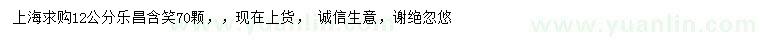 求購12公分樂昌含笑