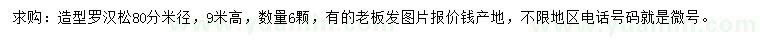 求購米徑80公分造型羅漢松