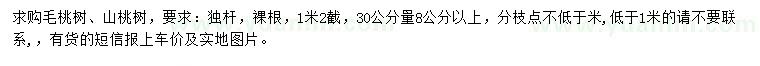 求購30公分量8公分以上毛桃樹、山桃樹