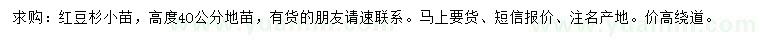 求購高40公分紅豆杉小苗