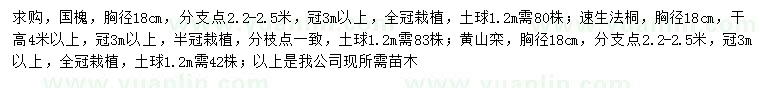 求購國槐、速生法桐、黃山欒