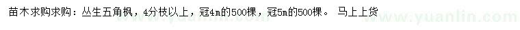 求購冠幅4、5米叢生五角楓