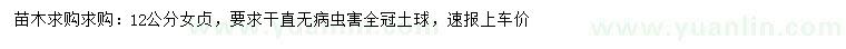 求購12公分女貞