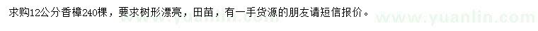 求購12公分香樟	