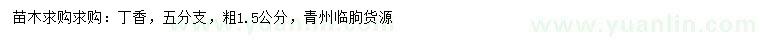 求購粗1.5公分丁香