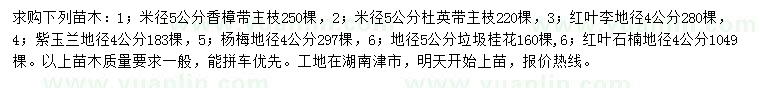 求購香樟、杜英、紅葉李等