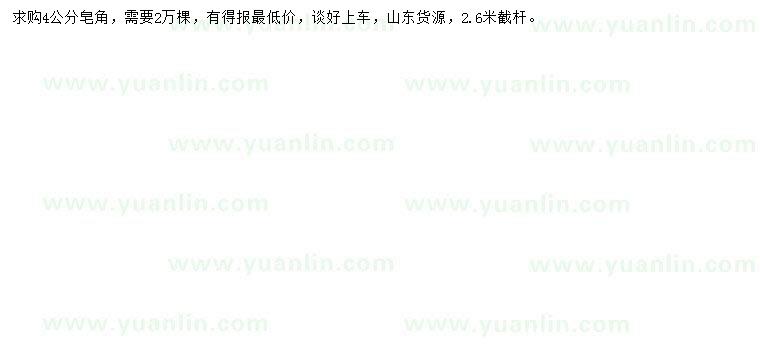 求購4公分皂角