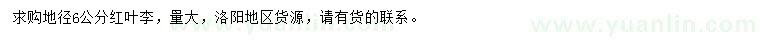 求購(gòu)地徑6公分紅葉李