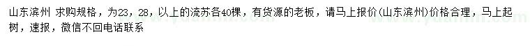 求購23、28公分以上流蘇