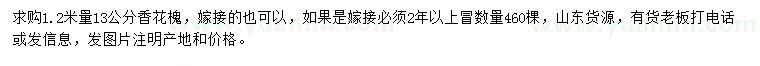 求購1.2米量13公分香花槐