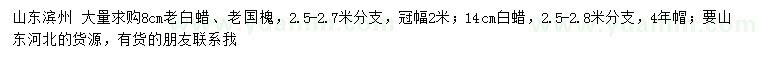 求購(gòu)8公分老白蠟、老國(guó)槐、14公分白蠟