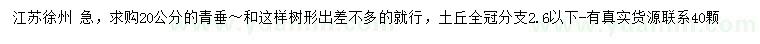 求購(gòu)20公分青垂