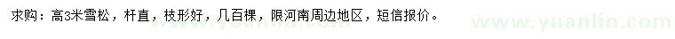 求購高3米雪松