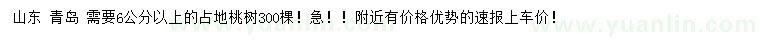 求購6公分以上占地桃樹