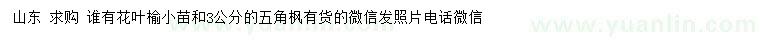 求購花葉榆小苗、3公分五角楓