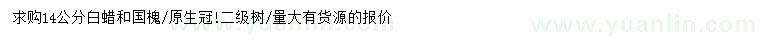 求購14公分白蠟、國槐