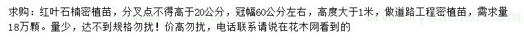 求購冠幅60公分左右紅葉石楠密植苗