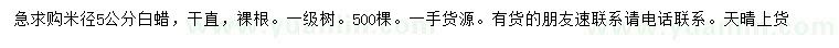 求購米徑5公分白蠟