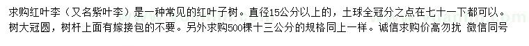 求購直徑15公分以上紅葉李（紫葉李）
