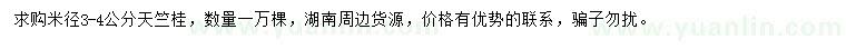 求購米徑3-4公分天竺桂