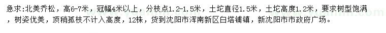 求購高6-7米北美喬松