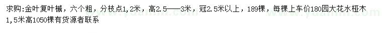 求購冠幅2.5米以上金葉復(fù)葉槭