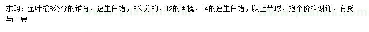 求購8公分金葉榆、速生白蠟、國槐等