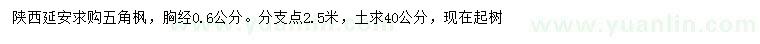 求購胸徑0.6公分五角楓