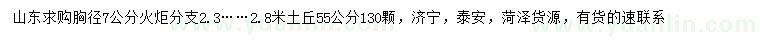 求購胸徑7公分火炬