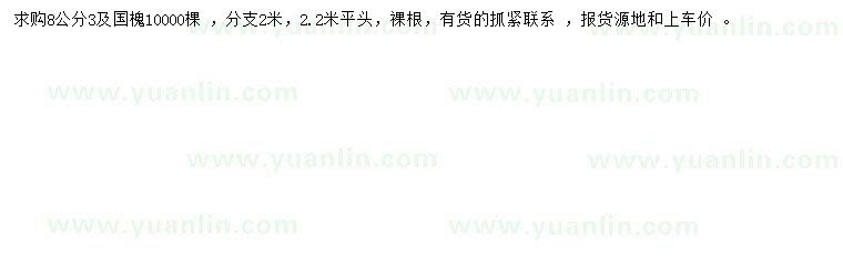 求購(gòu)3公分國(guó)槐