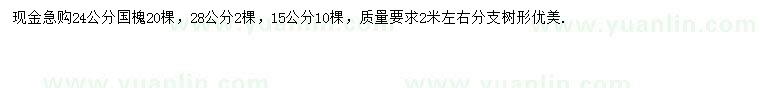 求購(gòu)15、24、18公分國(guó)槐