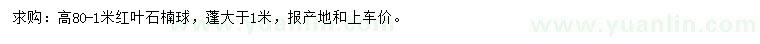 求購高80-1米紅葉石楠球