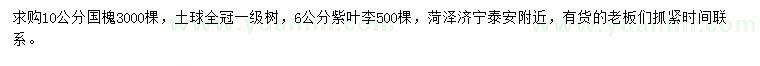 求購10公分國槐、6公分紫葉李