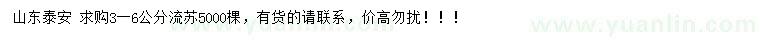 求購3-6公分流蘇