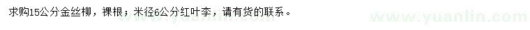 求購15公分金絲柳、米徑6公分紅葉李