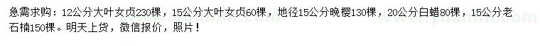 求購大葉女貞、晚櫻、白蠟等