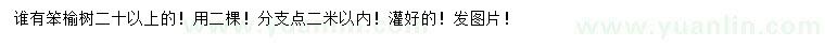 求購20公分以上笨榆樹