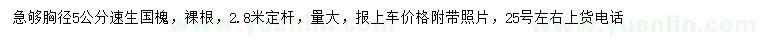 求購(gòu)胸徑5公分國(guó)槐