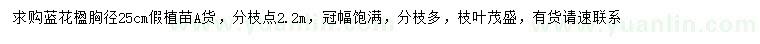 求購胸徑25公分藍(lán)花楹假植苗