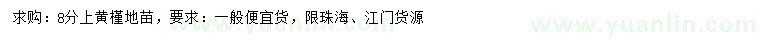 求購(gòu)8公分以上黃槿