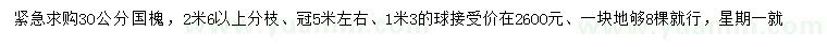求購30公分國槐